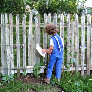 tom sawyer paints fence